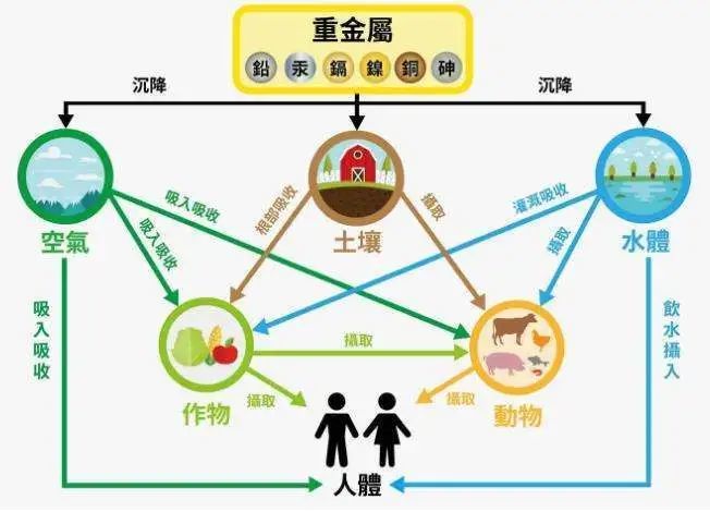 食物罩与贵重金属矿产的存在环境