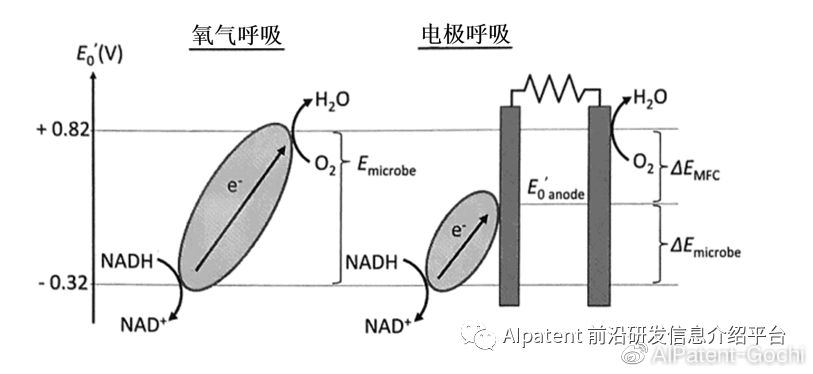 羧酸及衍生物与电流互感器气隙影响