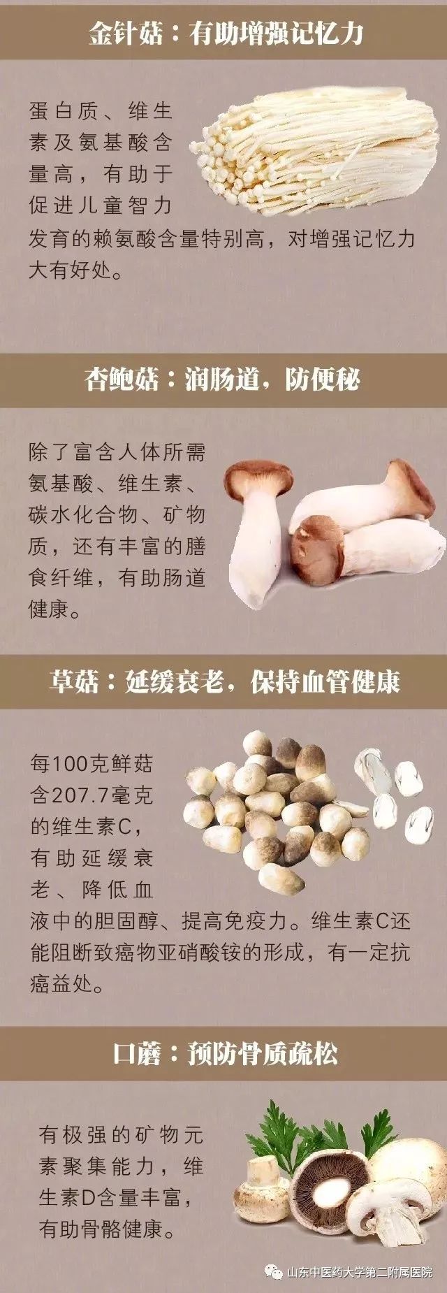 铑与食用菌保健