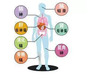 微量元素肥料与丝印油墨对人体有什么危害