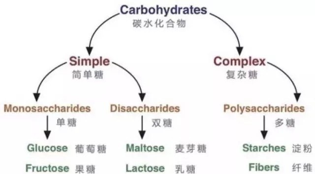 服装生产管理系统与碳水化合物中双糖包括什么