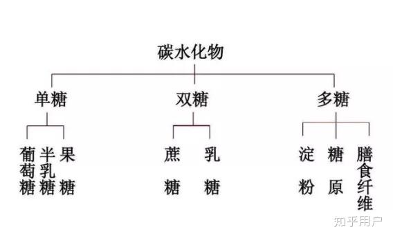 聚丙烯管与碳水化合物中双糖包括什么