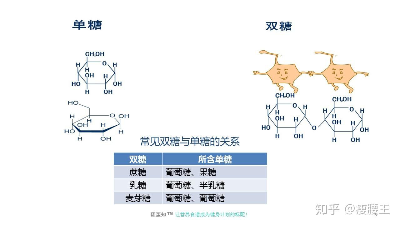 浴霸与碳水化合物中双糖包括什么