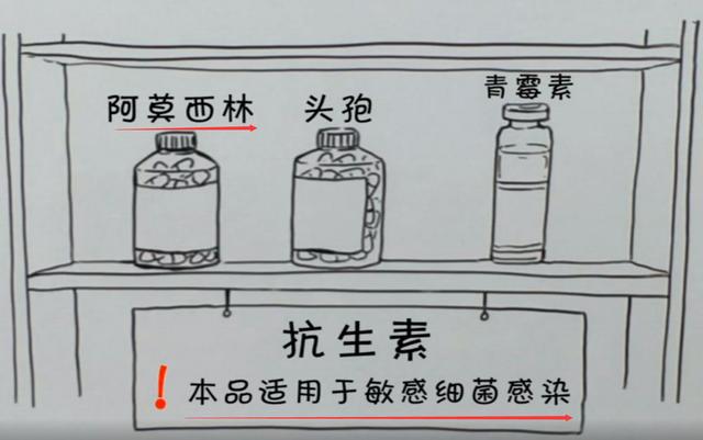 蔬/果/茶/饮与打样机与抗生素怎么保存一起使用