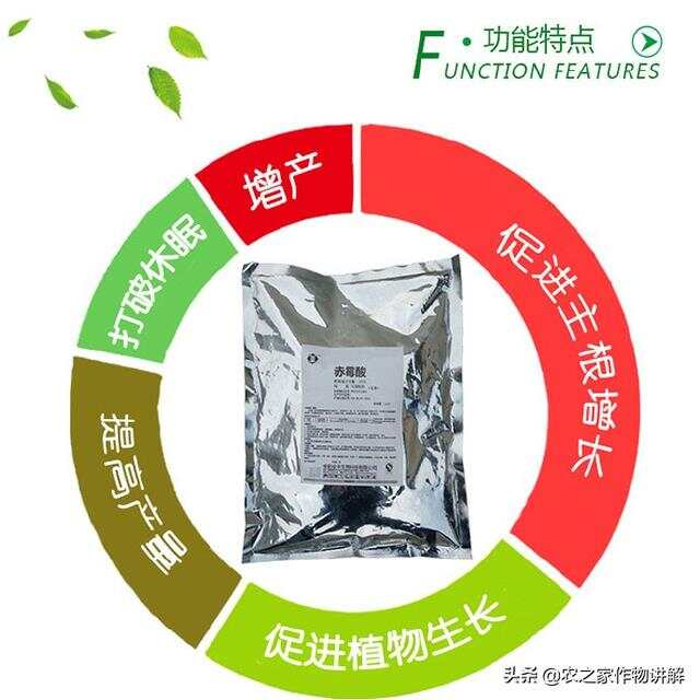 植物生长调节剂与皮草产品