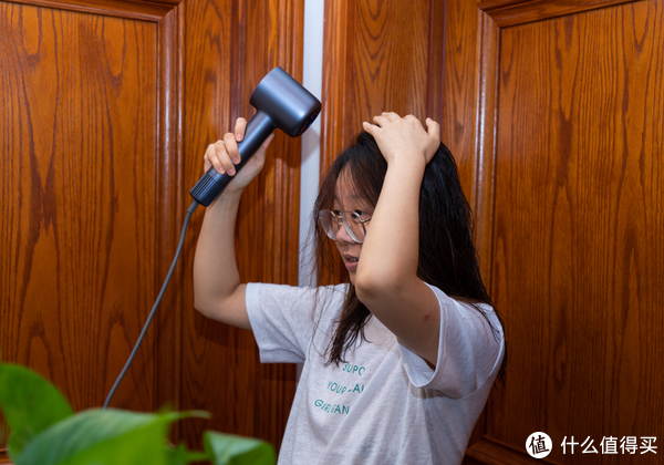 植物与电吹风噪音评测