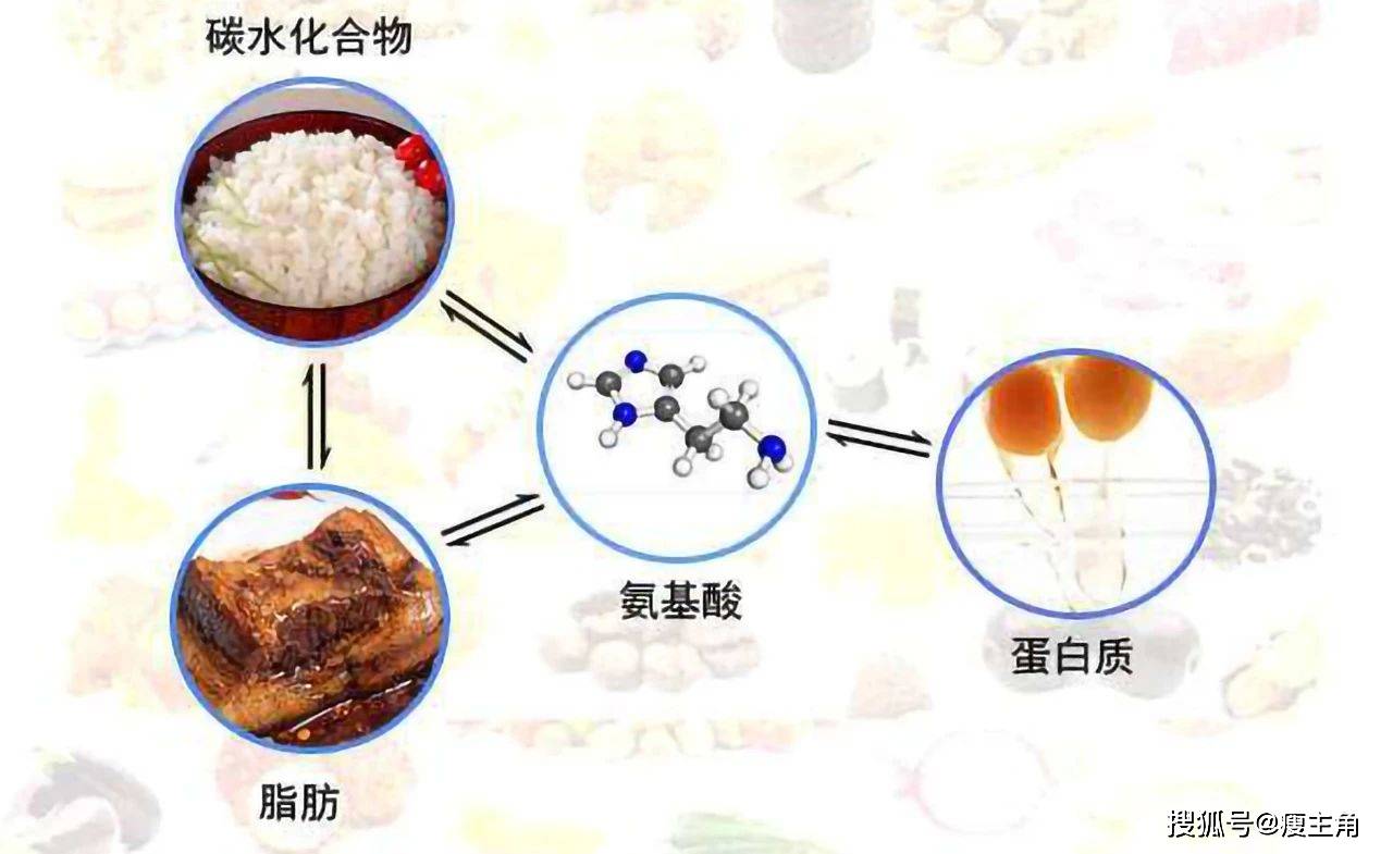 碳水化合物与色差信号的作用