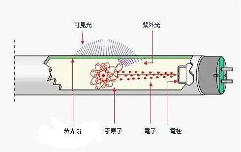 手电筒与清洁类化妆品的清洁原理