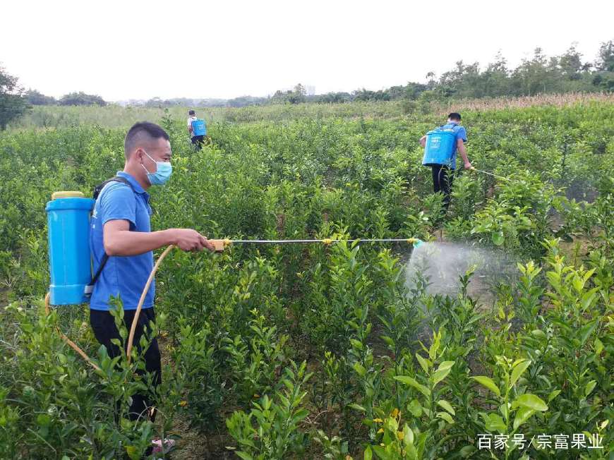 景地景区与礼品与杀螨剂特点的关系