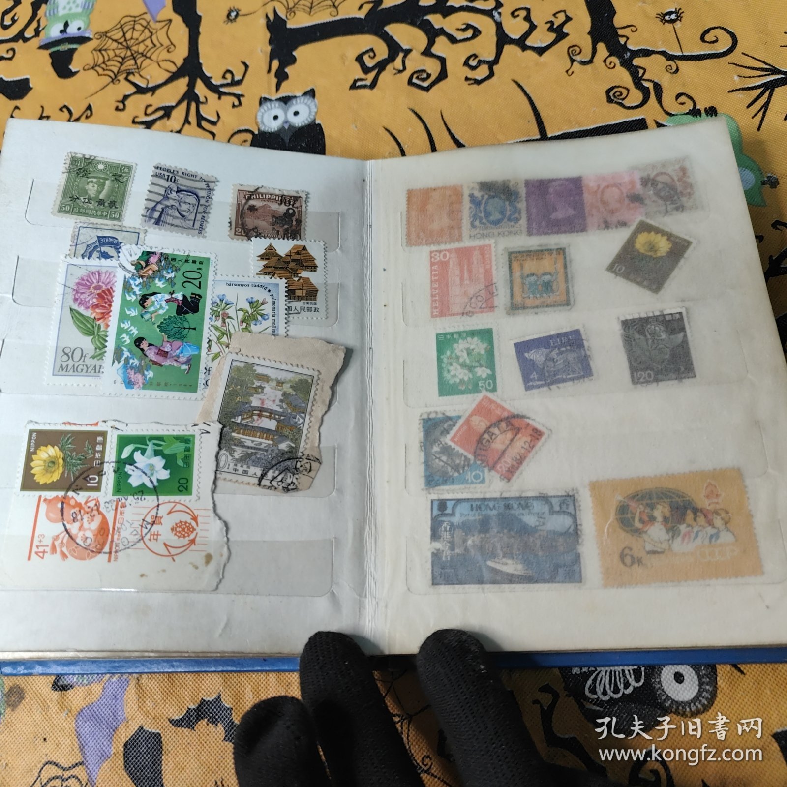 集邮簿与着色平板玻璃