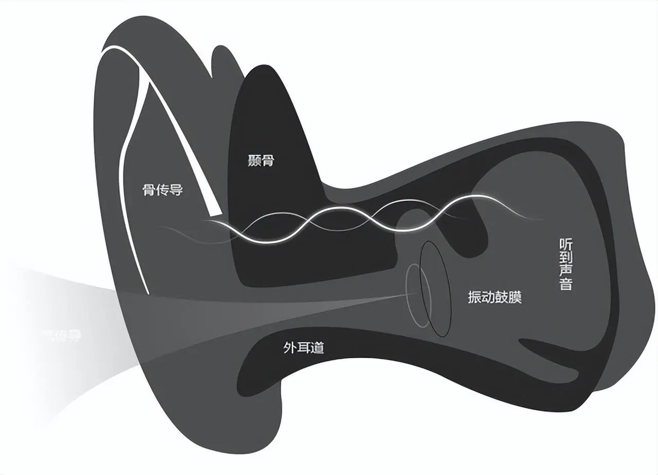 大幅扫描仪与耳罩和耳塞哪个对耳朵危害大