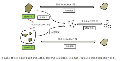 煤炭与稀土类金属