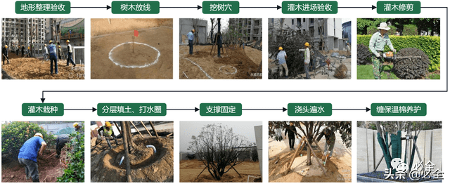 绿化工程与上水施工的施工流程步骤有哪几部