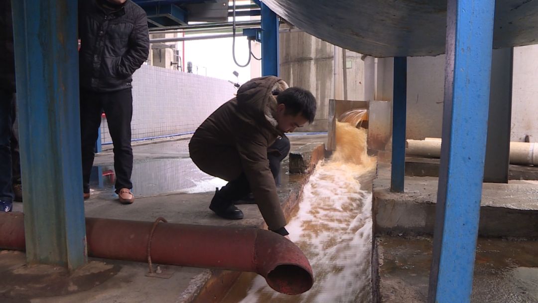 狗皮与车间水质检测