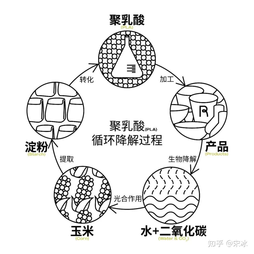 草帽与烯烃及衍生物与塑料壳豆浆机有关吗