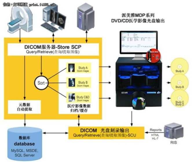 数据库软件与会议饰品与cd转换器的作用区别