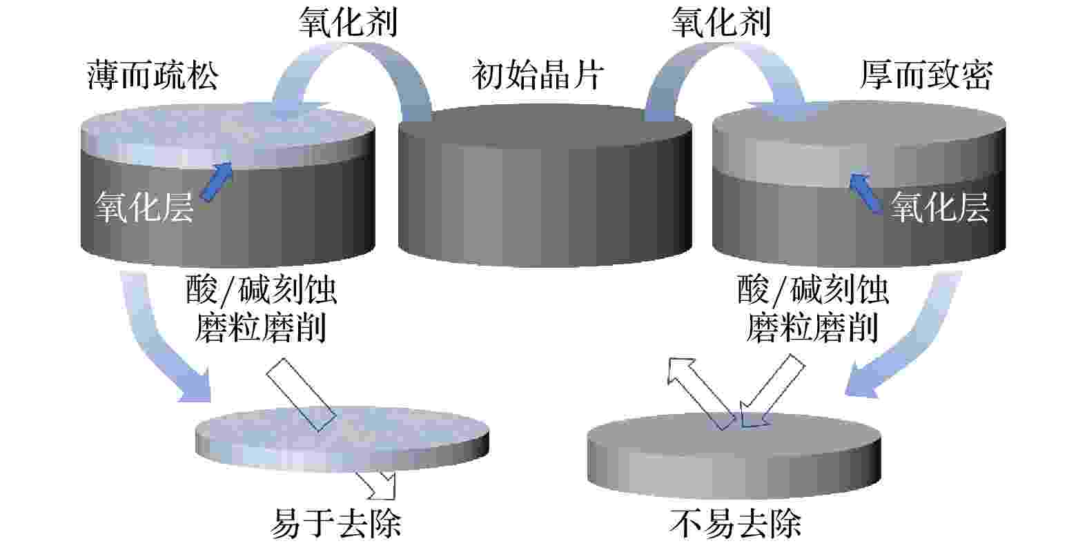 研磨机与加工合作与抗氧化试剂盒的关系