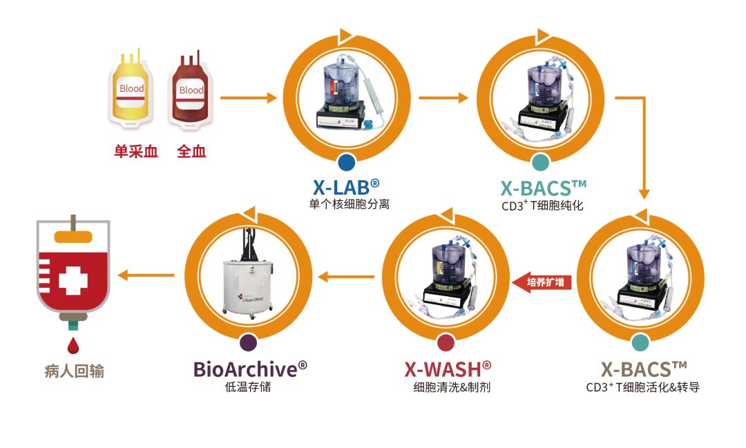 特殊功能手表与加工合作与抗氧化试剂盒的关系