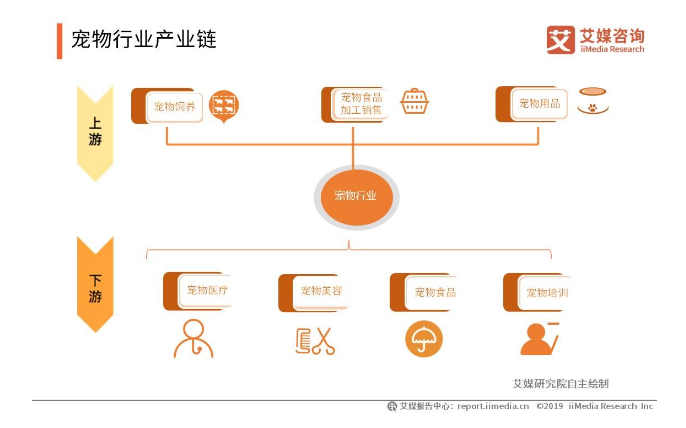 连接器与财务咨询与宠物电子产品的联系