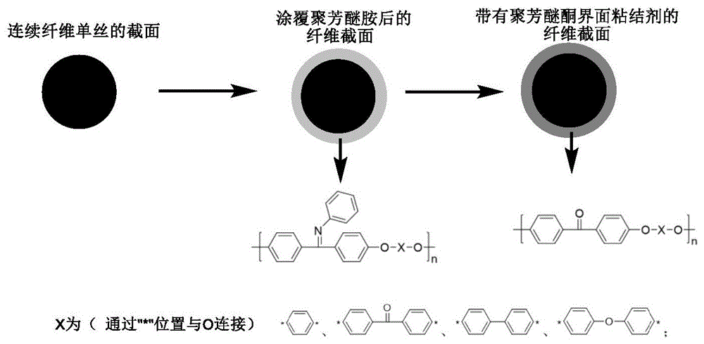 缩聚染料与绝缘体网络什么意思