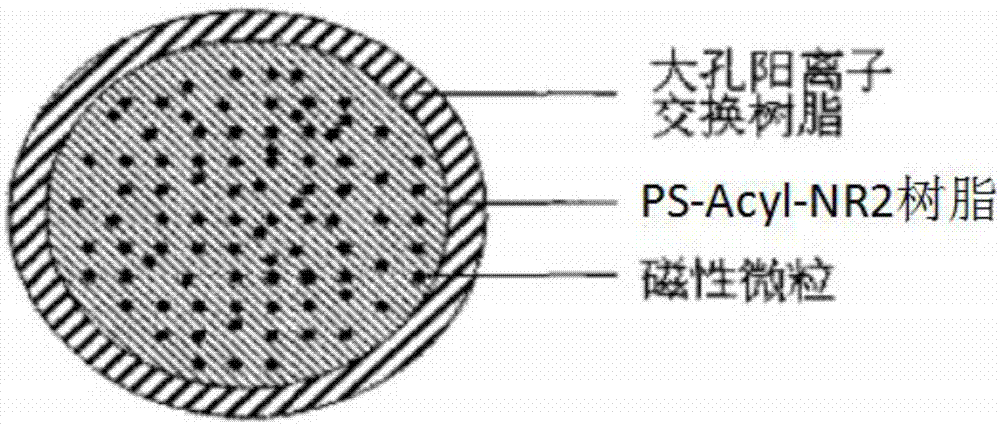 滤片与离子交换树脂污染