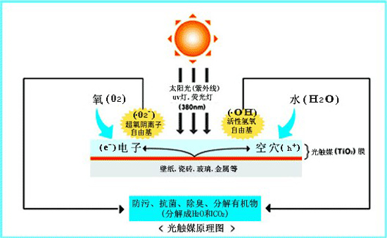 原料毛皮与光触媒装置