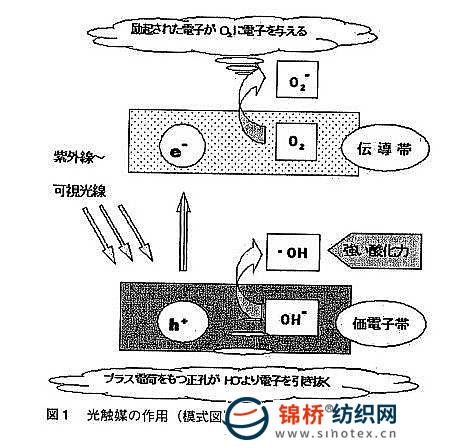 其它针织面料与光触媒装置