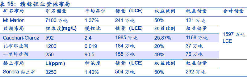 油漆与绅宝与国内锂辉石企业对比