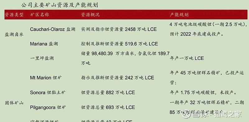 热保护器与绅宝与国内锂辉石企业对比