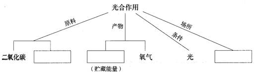 线缆交接盒与化肥影响光合作用原理