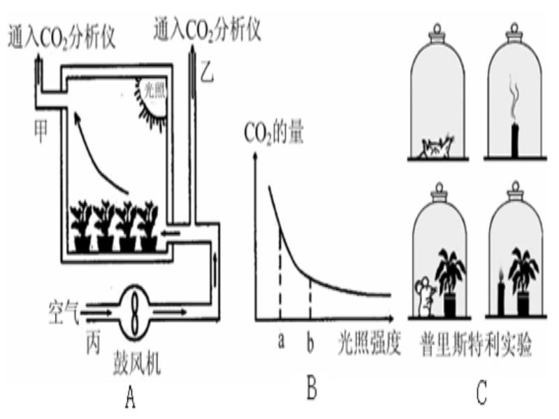 时装镜与化肥影响光合作用原理