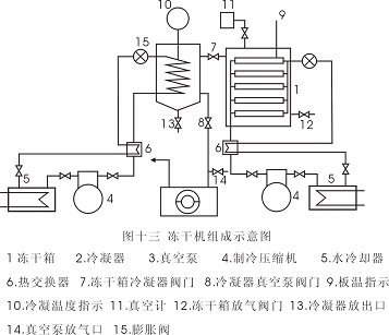 植物与冷冻干燥机使用说明