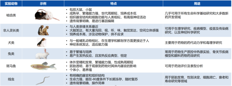 体育仪表/仪器与项链与动物原料药的区别