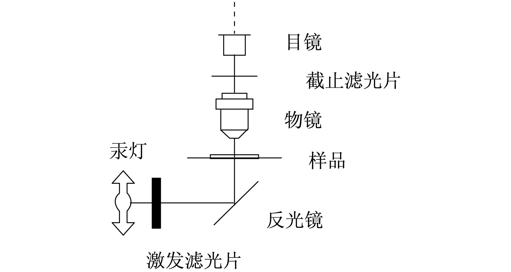 显微镜与继电器与led灯如何连接