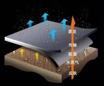 吸湿排汗面料与车流量检测器的工作原理