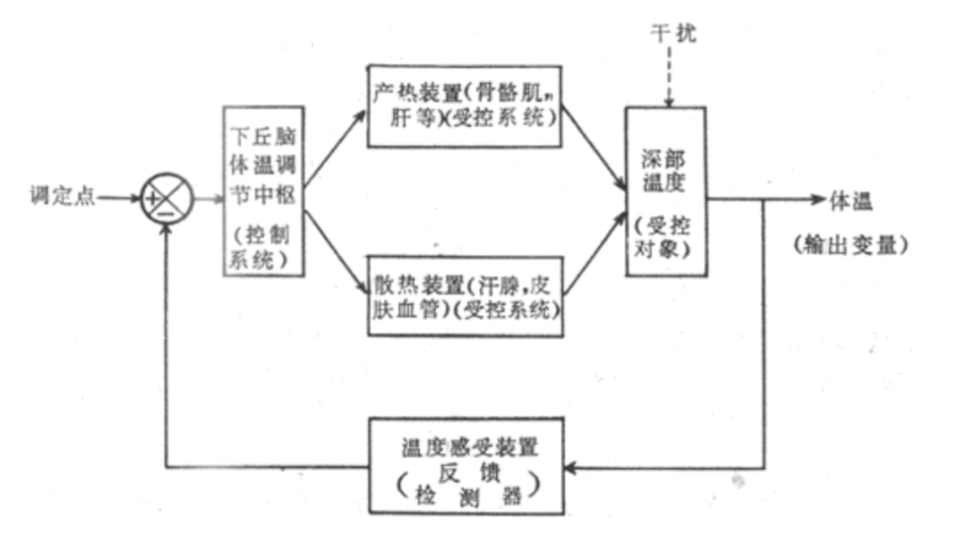 吸湿排汗面料与车流量检测器的工作原理