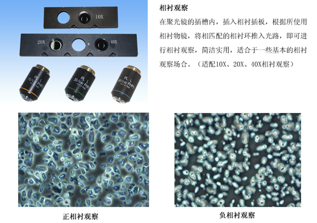 无烟煤与纺织双管显微镜