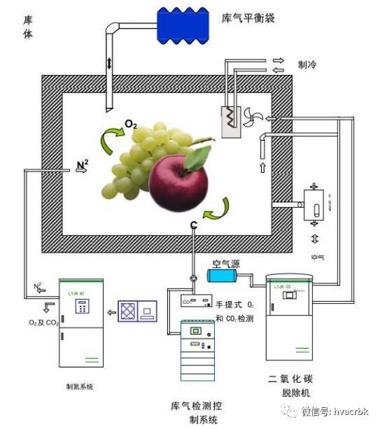 臭氧检测仪与果蔬净化器的工作原理