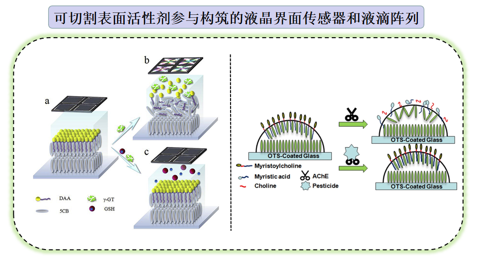 能源网与表面活性剂增稠机理