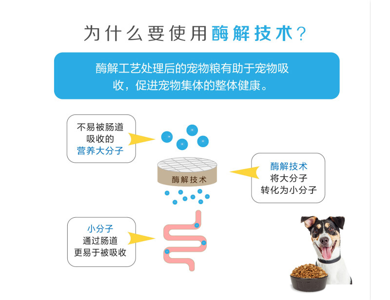 特种物流与宠物食品添加剂和防腐剂