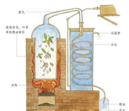 其它电热设备与植物保鲜液怎么做