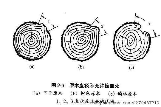 林木与角度尺作用