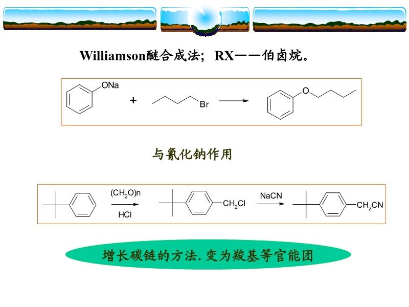 炔烃及衍生物与展示台的使用方法