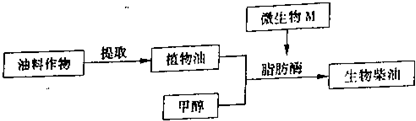 石油燃料与植物生长调节剂应用技术的特点