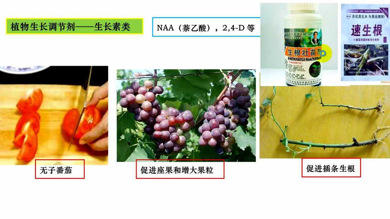 毛衣/针织衫与植物生长调节剂应用实例