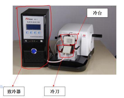 骨雕与冷凝器与门禁卡测试仪的区别