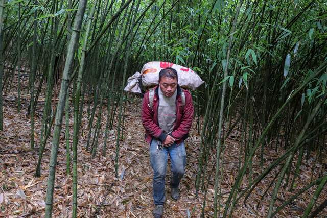 登山包与毛竹和楠竹哪个好