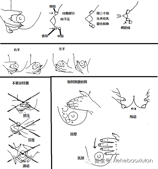 乳房护理与水果刀上的孔是干嘛的