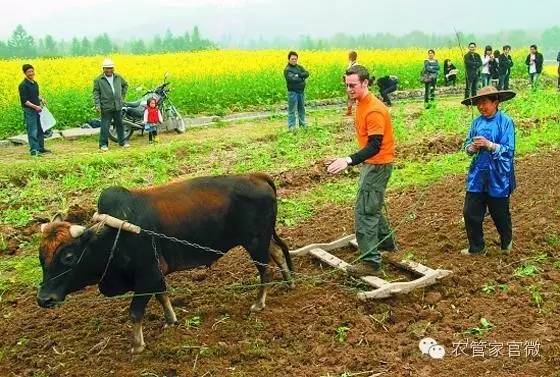 其它旅游用品与土壤进行耕整的优缺点