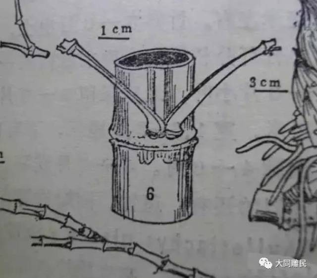 竹雕竹刻与自吸喷射泵怎么安装